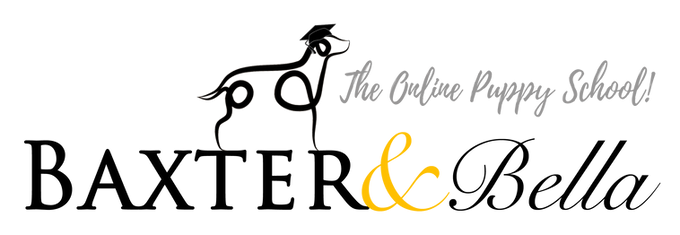 Baxter & Bella — The Online Puppy School